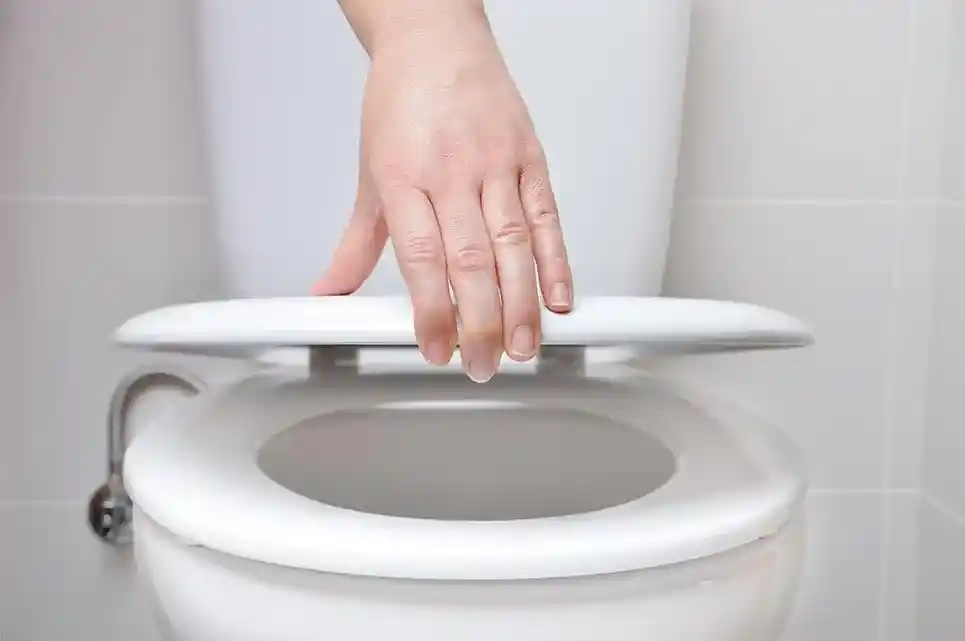 How To Clean a Toilet 2