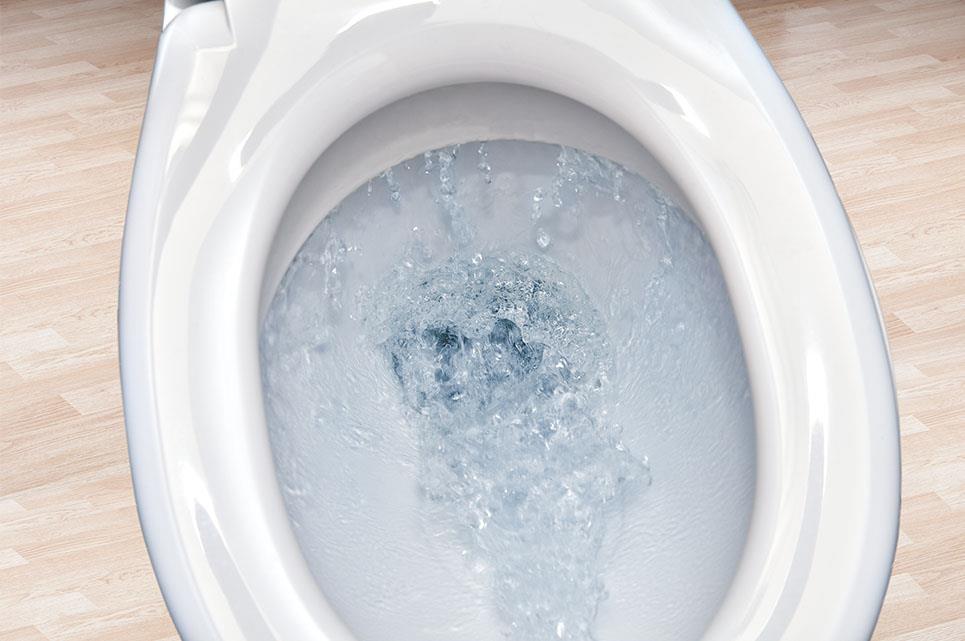 How To Clean a Toilet 3